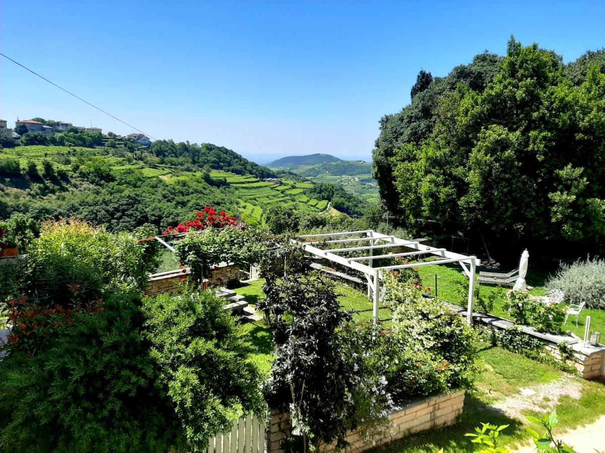 内格拉尔安蒂卡科尔特萍歌住宿加早餐旅馆住宿加早餐旅馆 外观 照片